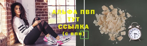 индика Белокуриха