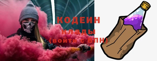 шишки Богородск