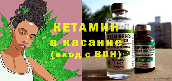 индика Белокуриха