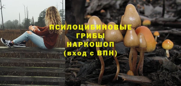 дмт Беломорск