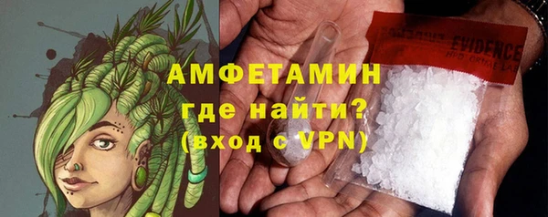 индика Белокуриха