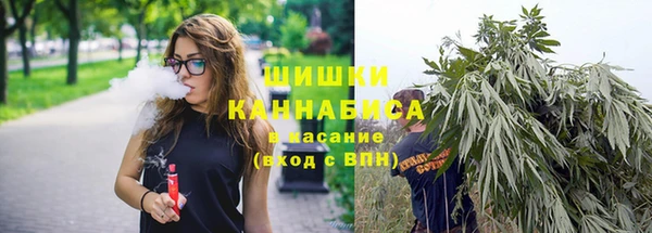 индика Белокуриха