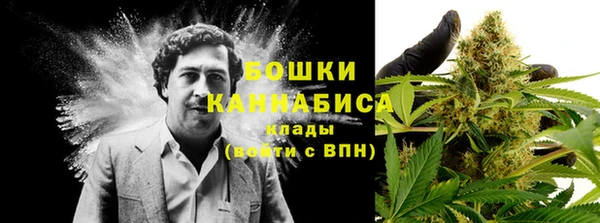 индика Белокуриха