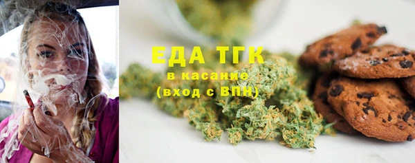 индика Белокуриха