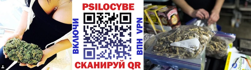 Псилоцибиновые грибы Cubensis Ефремов